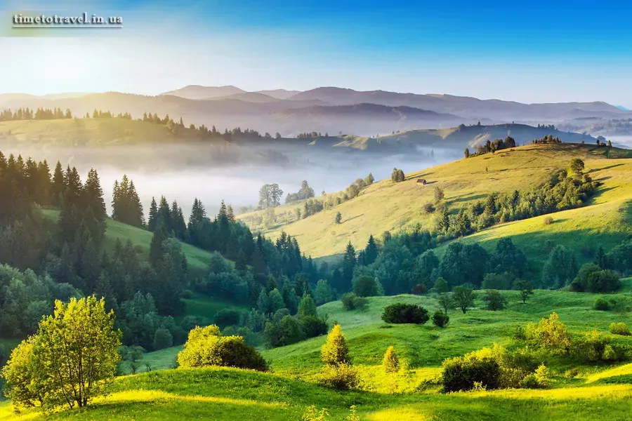 Karpaty Shepit top