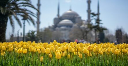 Istambul 090424 002