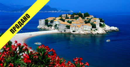 Montenegro Sold