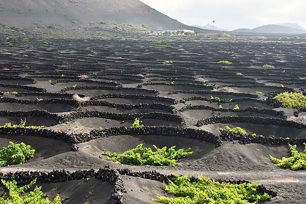 Tenerife top