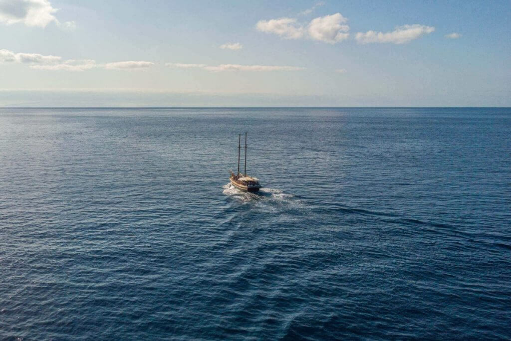 madeira-top-1
