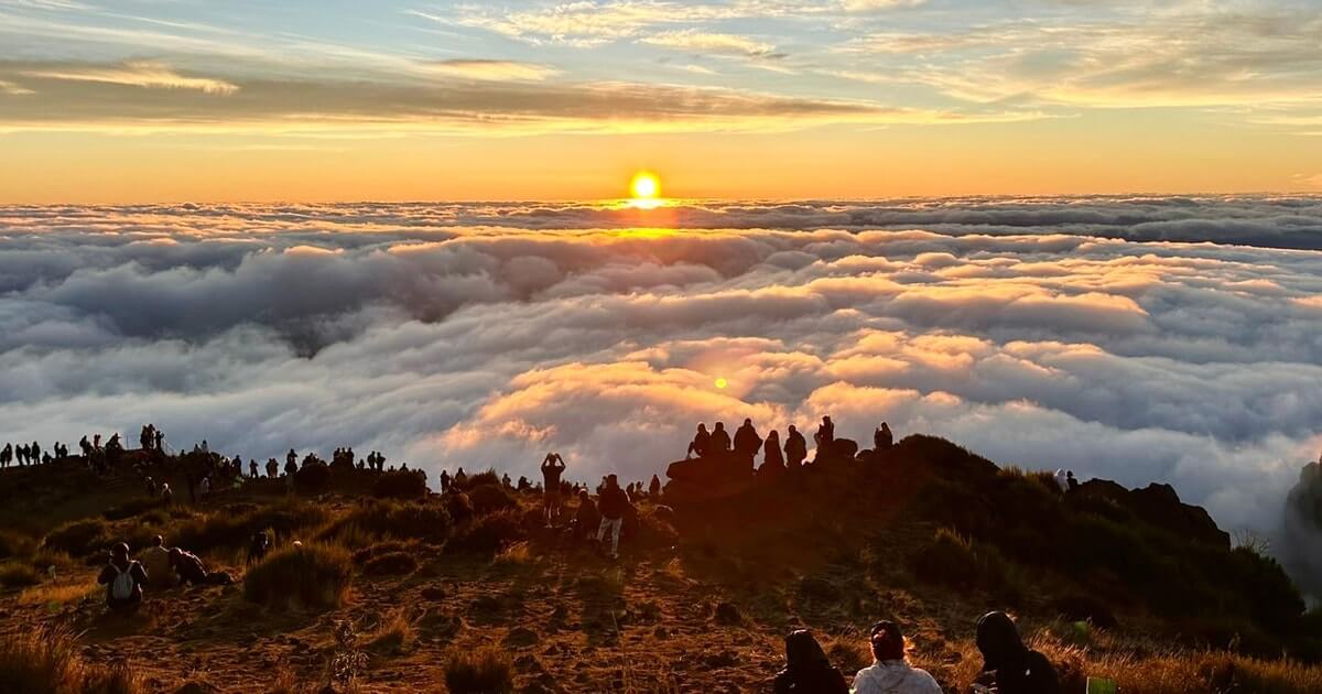 Madeira top 3